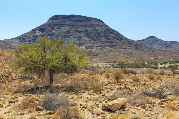 Namibische Landschaft Afrikanische Savanne Einem Heißen Tag Hintergrund Der Berg — Stockfoto