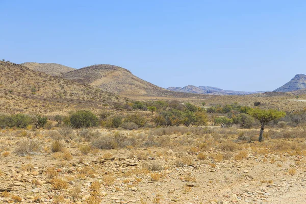 纳米比亚的风景 非洲热带草原在炎热的一天 后面是山 纳米比亚 — 图库照片