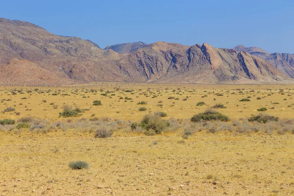 Paisagem Namibiana Savana Africana Durante Dia Quente Montanha Fundo Namíbia — Fotografia de Stock