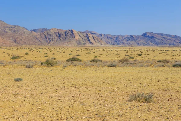 Paesaggio Namibiano Savana Africana Durante Una Giornata Calda Montagna Sullo — Foto Stock