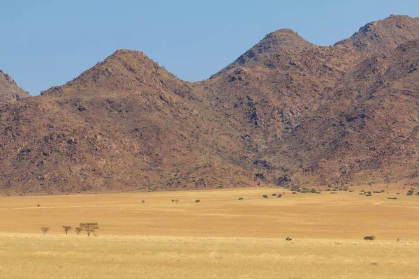 Paesaggio Namibiano Savana Africana Durante Una Giornata Calda Montagna Sullo — Foto Stock