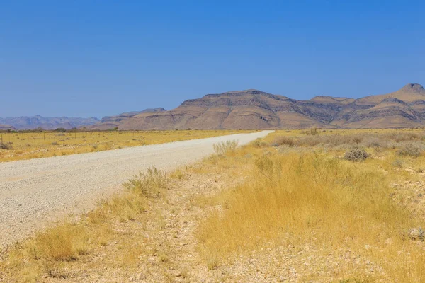Namibian Landscape Gravel Road Yellow Ground African Vegetation Khomas Namibia — Stock Photo, Image