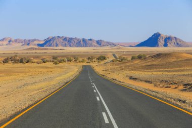 Namib-Naukluft Ulusal Parkı 'ndaki Namib Çölü' nün güney kesiminde Soussusvlei 'ye uzanan asfalt yol..