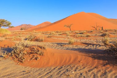 Sossusvlei, Namibya - 29 Eylül 2018: Ünlü kum tepesi 45 'te turistler. Namib Çölü 'nün güneyindeki Namib-Naukluft Ulusal Parkı' nda..