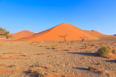 Sossusvlei, Namibya - 29 Eylül 2018: Ünlü kum tepesi 45 'te turistler. Namib Çölü 'nün güneyindeki Namib-Naukluft Ulusal Parkı' nda..