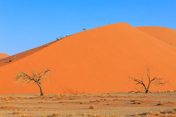Sossusvlei Namibia Września 2018 Turyści Słynnej Wydmie Południowa Część Pustyni — Zdjęcie stockowe