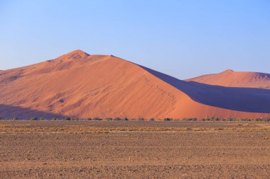 Namib Çölü 'nün güneyindeki Namib-Naukluft Ulusal Parkı' ndaki kum tepeleri..