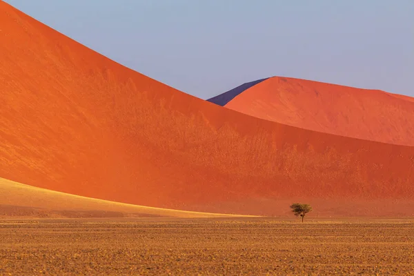 Famosa Duna Parte Sul Deserto Namíbia Parque Nacional Namib Naukluft — Fotografia de Stock