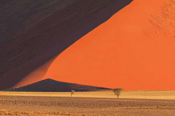 Αμμόλοφους Στο Νότιο Τμήμα Της Ερήμου Namib Στο Εθνικό Πάρκο — Φωτογραφία Αρχείου