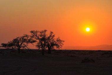 Namib-Naukluft Ulusal Parkı 'ndaki Namib Çölü' nün güney kısmı Sossusvlei üzerinde gün doğumu.