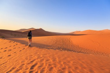 Sossusvlei, Namibya - 30 Eylül 2018: Kum tepelerinde yürüyen kadın. Sossusvlei 'nin tuz tepsisi. Namib Naukluft Ulusal Parkı. Sossusvlei 'deki kum tepeleri. Gün doğumu. Namibya. Afrika.