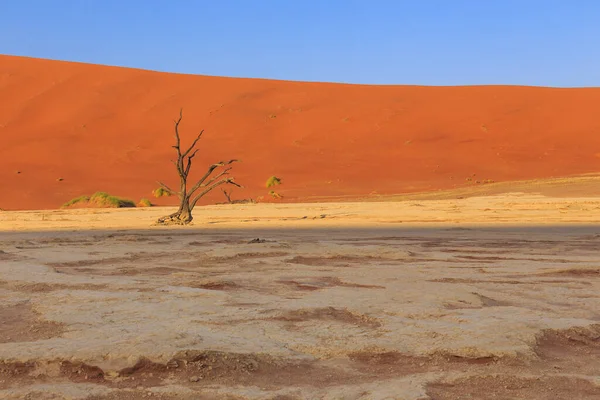 Deadvlei Fehér Agyag Serpenyő Található Namíbiai Namib Naukluft Parkban Halott — Stock Fotó