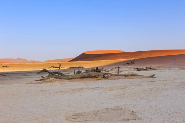 Deadvlei Vit Lerpanna Belägen Inne Namib Naukluft Park Namibia Död — Stockfoto