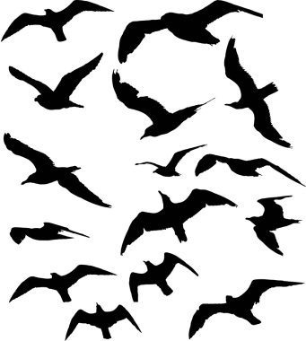 martı silhouettes