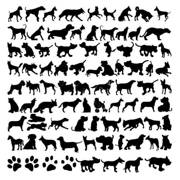 Vector silhouettes of dogs — Stock Vector