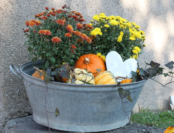 Pumpkins and flowers planted in a tub