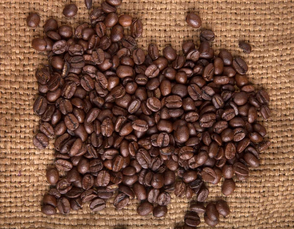 Granos de café — Foto de Stock