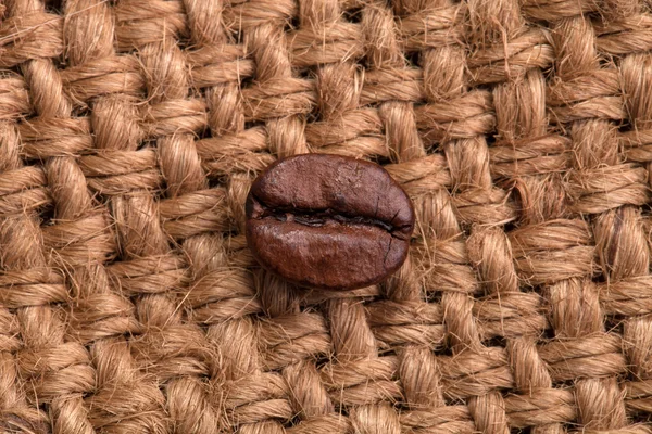 Chicco di caffè — Foto Stock