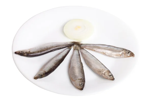 Sprat fish on plate — Stock Photo, Image