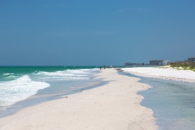 floridas plajlar beyaz kum