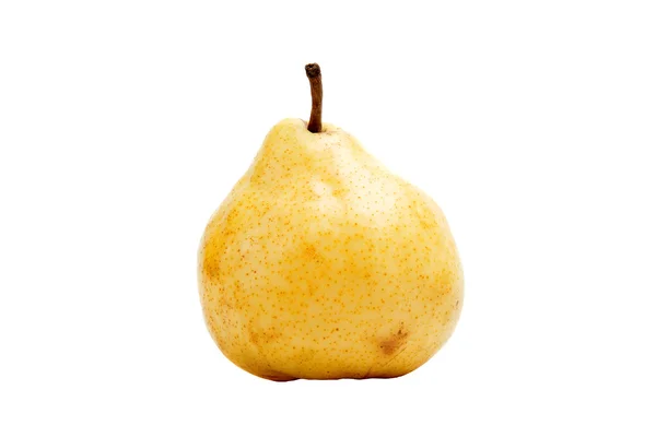 Ett päron på en vit bakgrund — Stockfoto