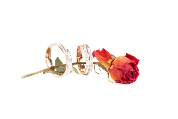 Rose and wedding rings isolated on white background — Stock Photo, Image