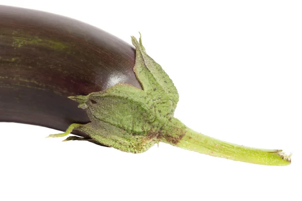 Spetsen av aubergine isolerad på vit bakgrund — Stockfoto