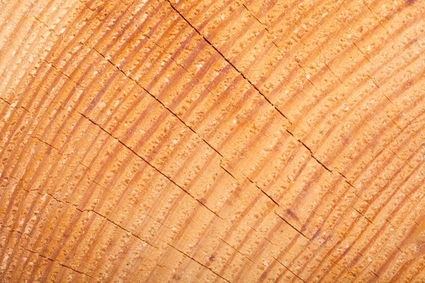 Textura de madera con anillos de crecimiento —  Fotos de Stock