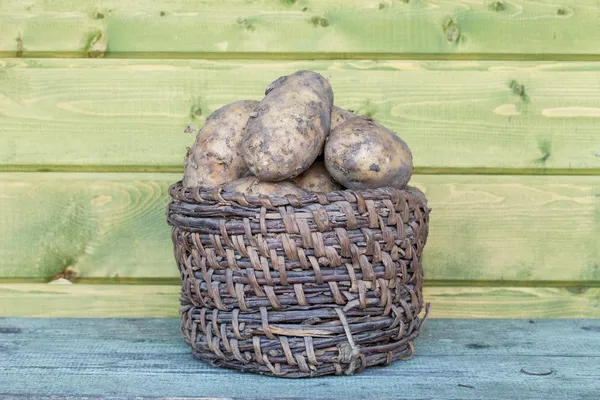 Patate fresche in un vecchio cestino — Foto Stock