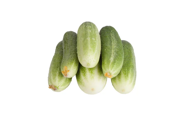 Few fresh cucumbers with flowers isolated on white background — Stock Photo, Image