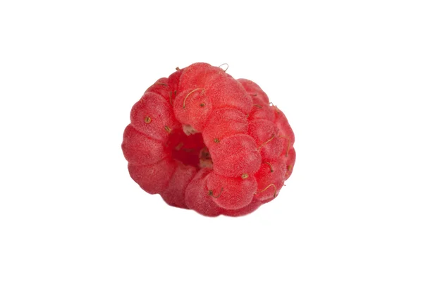 Ripe raspberry isolated on a white background — Stock Photo, Image