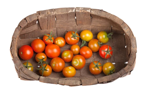 Tomates recém-colhidos em cesta de madeira velha isolada no fundo branco — Fotografia de Stock