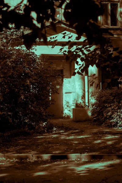 The house is old in the horror style. Scary horrible mystical entrance door to the entrance to the building with dark windows among tree branches with paronormal shadows and strange moonlight.