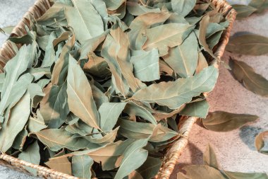 Yemek arkaplanı. Saha yaprağı, doğal antiseptik, antioksidan, sivilce ilacı, deri ve saç için makro besin maddeleri. Bitkisel ilaçlar. Akdeniz baharatı.