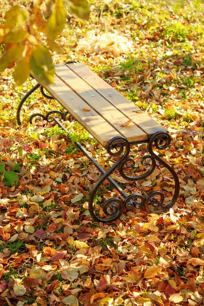 Industrie Schmiedet Herbst Garten Laub Unter Dem Baum Eine Schmiedebank — Stockfoto