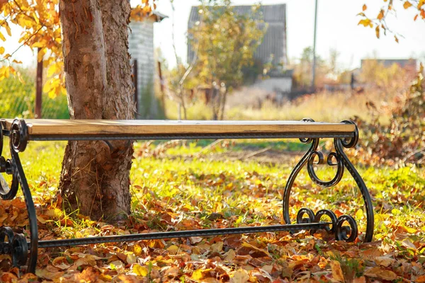 Industria facendo una panca forgiatura in autunno in giardino nel fogliame — Foto Stock