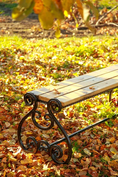 Промышленность делает кованую скамейку осенью в саду в листве под деревом. Осенний сад — стоковое фото