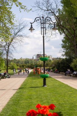 CHISINAU, MOLDOVA - CIRCA MAYIS 2022: Dendrariu, Chisinau 'daki park sokağı. İnsanlar ara sokakta, bahar parkında yürüyor. Büyük şehir parkında yeşil ağaçlar ve çimenler.