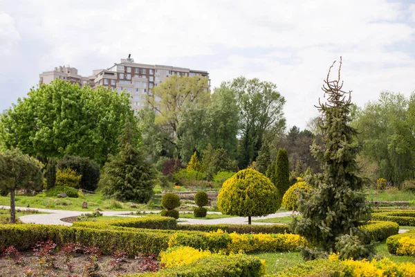 Parque Callejón Dendrariu Chisinau Callejón Vacío Parque Primavera Chisinau Moldavia —  Fotos de Stock