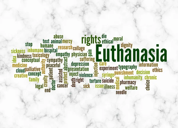 Word Cloud Euthanasia Concept Create Text Only — Fotografia de Stock