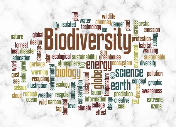 Word Cloud Biodiversity Koncepció Létrehozása Csak Szöveggel — Stock Fotó