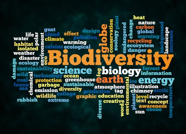 Biodiverity 개념을 클라우드는 만을가지고 만들어 — 스톡 사진