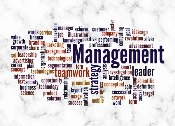 Word Cloud Management Concept Create Text Only — Stock Photo, Image