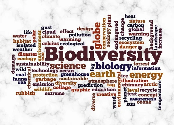 Word Cloud Avec Concept Biodiversity Créer Avec Texte Seulement — Photo