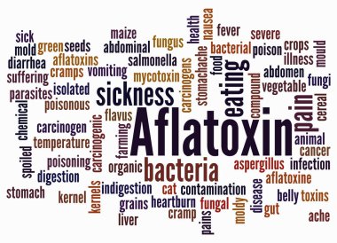 AFLATOXIN kavramına sahip Kelime Bulutu sadece metin ile oluşturulur.