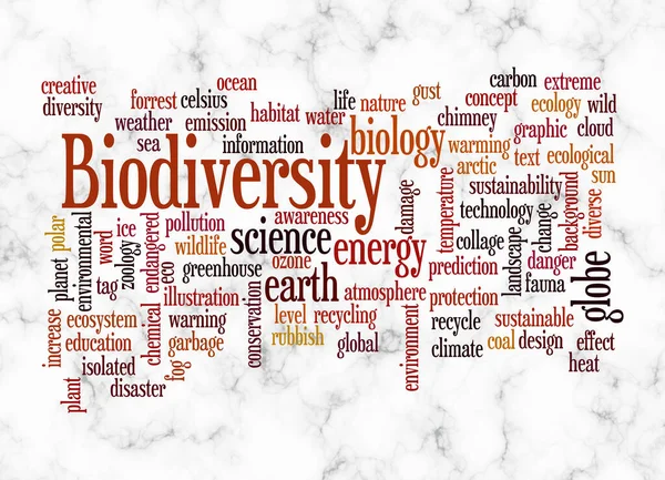 Word Cloud Koncepcí Biodiversity Vytvořit Pouze Textem — Stock fotografie