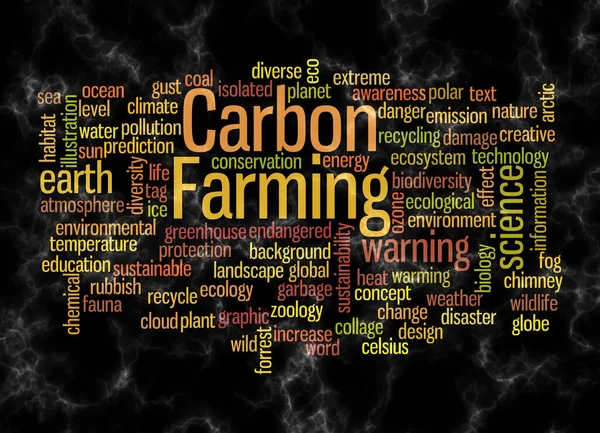 Word Cloud Carbon Farming Concept Create Text Only — Stock fotografie