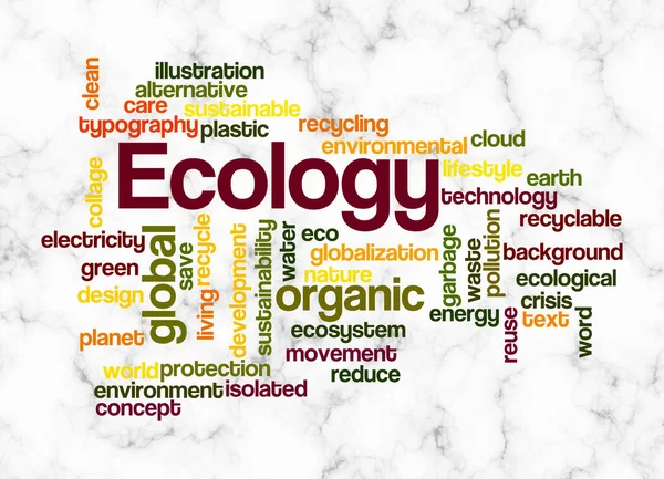 Word Cloud Com Conceito Ecologia Criar Apenas Com Texto — Fotografia de Stock