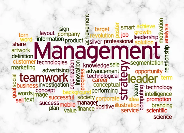 Word Cloud Management Concept Create Text Only — 스톡 사진
