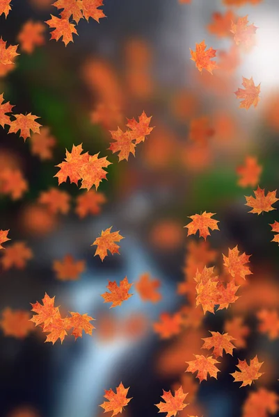 Idyllisch Schöne Verschwommene Herbstlandschaft Mit Herbstblättern Der Sonne Tag Freien — Stockfoto